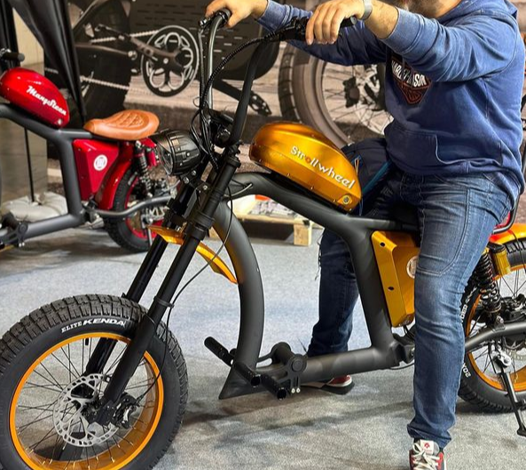 Mangosteen FT-02: The Electric Bike That Turns Ordinary Days Into Something Meaningful