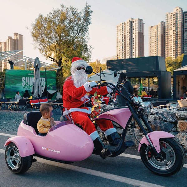 Electric Mobility Scooter