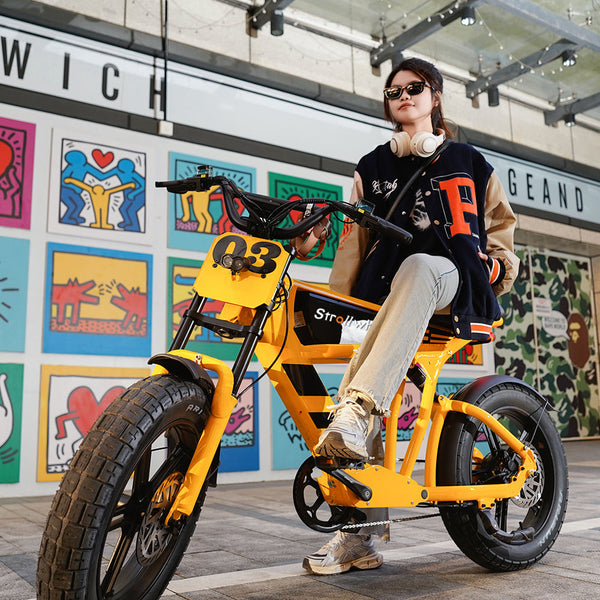 Electric Bike