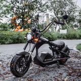 Electric Scooters