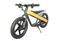 EU Warehouse ET-01 Electric Bike Bicycle 300W 24V 6A Battery E-Bike for Adult Use