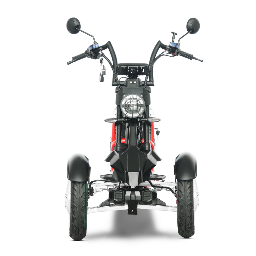 HM-9 Tricycle 2000W 60V 20AH Battery Electric Citycoco