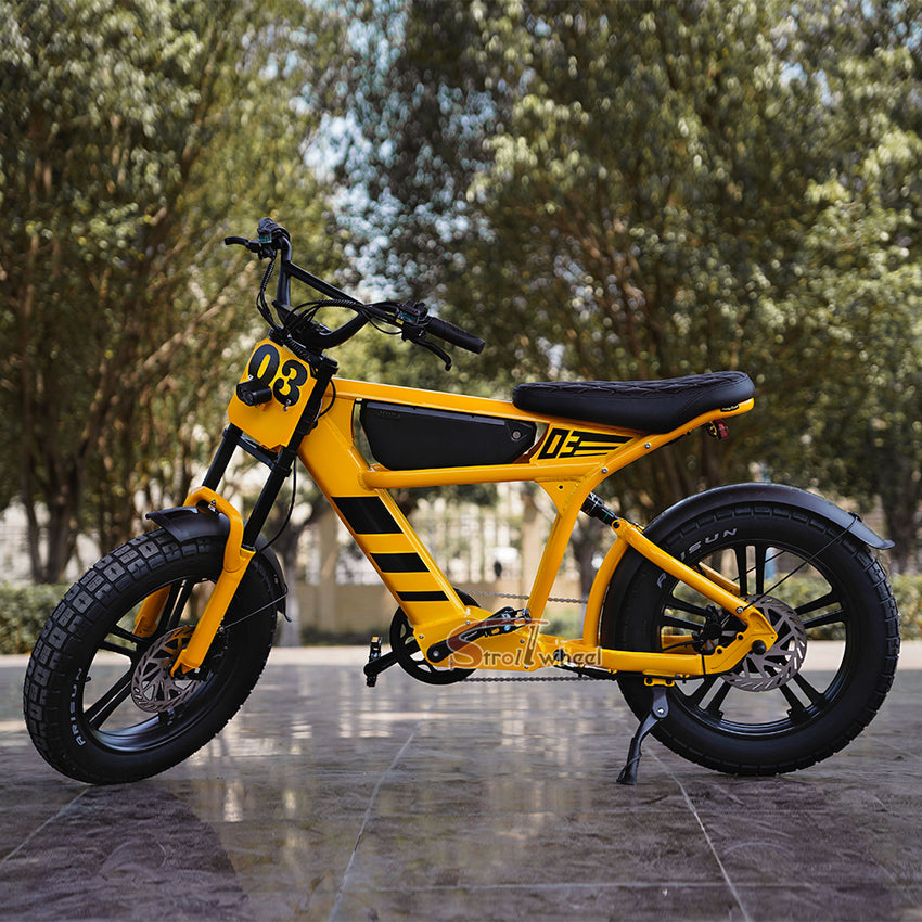 USA Warehouse FT-03 Electric Bike 750W 48V 18.2Ah Battery E-Bike Bicycle for City Commuting