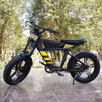 USA Warehouse FT-03 Electric Bike 750W 48V 18.2Ah Battery E-Bike Bicycle for City Commuting