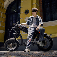 FT02 EEC Electric Bike 1000W 48V 22.5Ah Battery 45KM/H on COC Release Speed to 60KM/H