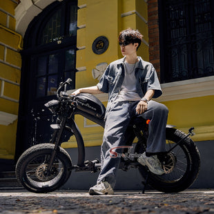 FT02 EEC Electric Bike 1000W 48V 22.5Ah Battery 45KM/H on COC Release Speed to 60KM/H