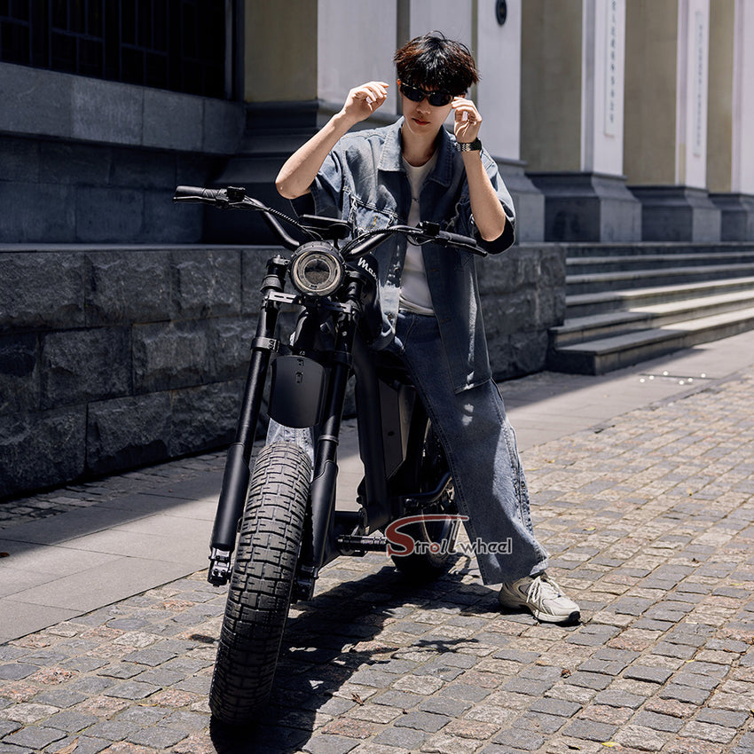 FT02 EEC Electric Bike 1000W 48V 22.5Ah Battery 45KM/H on COC Release Speed to 60KM/H