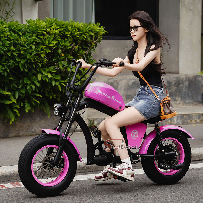 EU Warehouse FT-02 Mini City Electric Fat Tire E-bike 500W 48V 15Ah Lithium Battery Powered City Bike