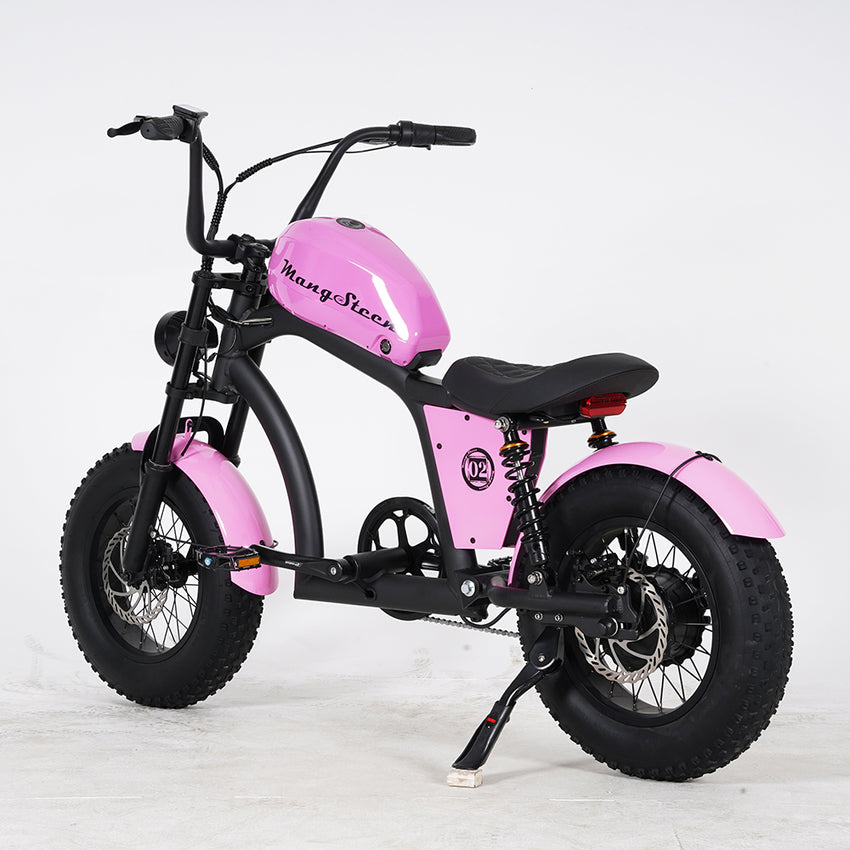 EU Warehouse FT-02 Mini City Electric Fat Tire E-bike 500W 48V 15Ah Lithium Battery Powered City Bike