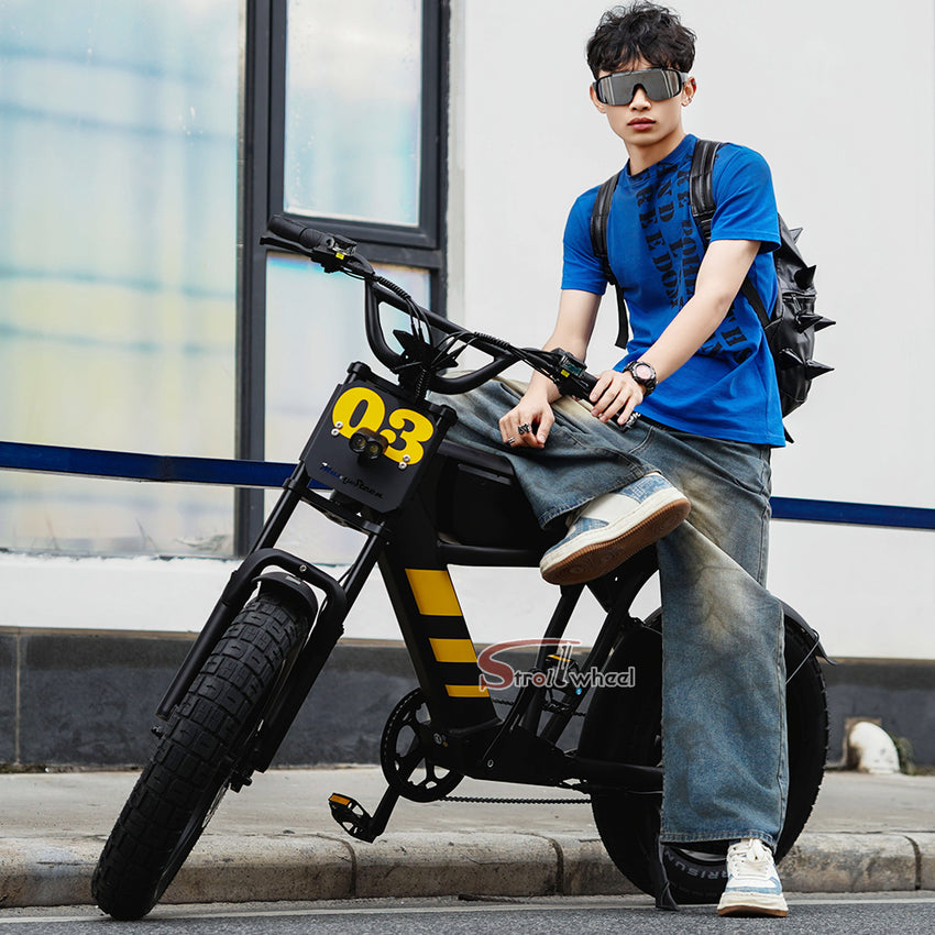 USA Warehouse FT-03 Electric Bike 750W 48V 18.2Ah Battery E-Bike Bicycle for City Commuting