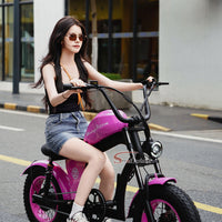 FT02 Mini Electric Bike 500W 48V 22.5AH Battery Speed 25km/h Release to 45km/h