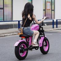 EU Warehouse FT-02 Mini City Electric Fat Tire E-bike 500W 48V 15Ah Lithium Battery Powered City Bike