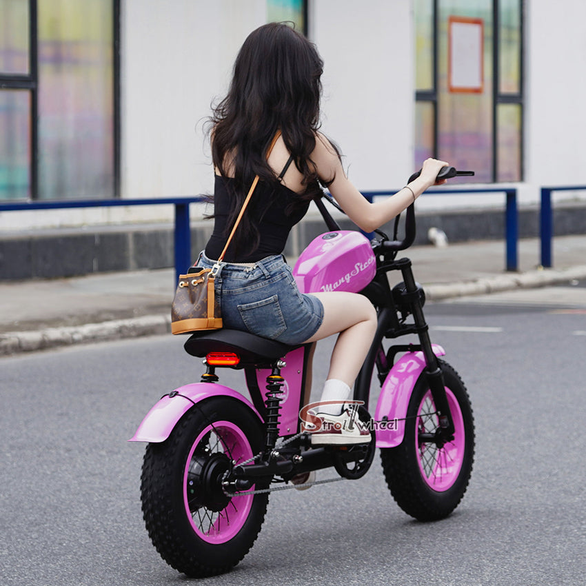 EU Warehouse FT-02 Mini City Electric Fat Tire E-bike 500W 48V 15Ah Lithium Battery Powered City Bike