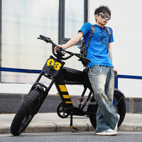 FT03 Electric Bike 750W 48V 18.2Ah Battery E-Bike Electric Bicycle 25KM/H
