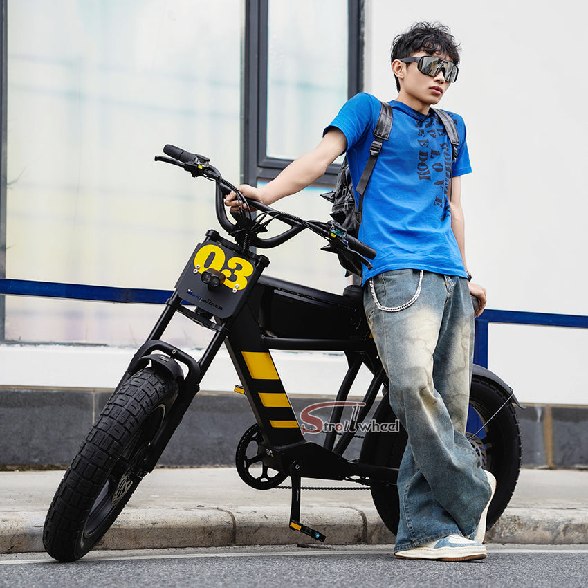 FT03 Electric Bike 750W 48V 18.2Ah Battery E-Bike Electric Bicycle 25KM/H