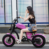 FT02 Mini Electric Bike 500W 48V 22.5AH Battery Speed 25km/h Release to 45km/h