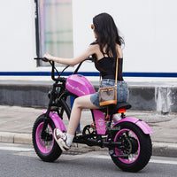 EU Warehouse FT-02 Mini City Electric Fat Tire E-bike 500W 48V 15Ah Lithium Battery Powered City Bike