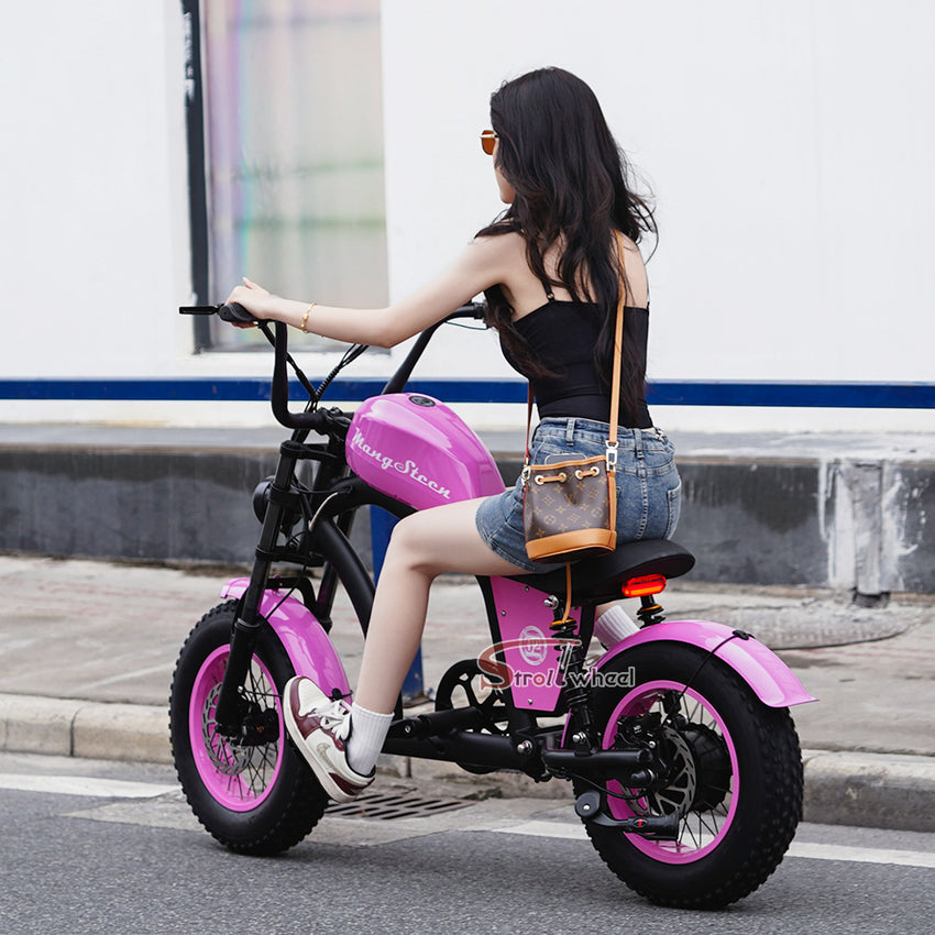 EU Warehouse FT-02 Mini City Electric Fat Tire E-bike 500W 48V 15Ah Lithium Battery Powered City Bike