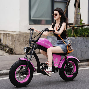 FT02 Mini Electric Bike 500W 48V 22.5AH Battery Speed 25km/h Release to 45km/h