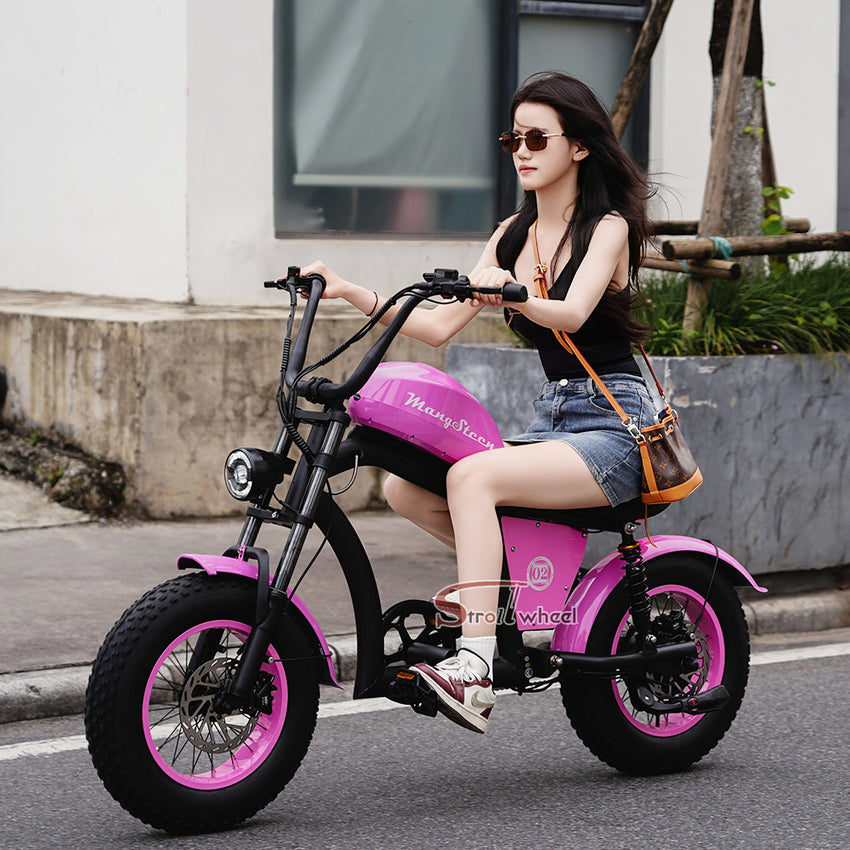 FT02 Mini Electric Bike 500W 48V 22.5AH Battery Speed 25km/h Release to 45km/h