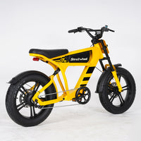 USA Warehouse FT-03 Electric Bike 750W 48V 18.2Ah Battery E-Bike Bicycle for City Commuting