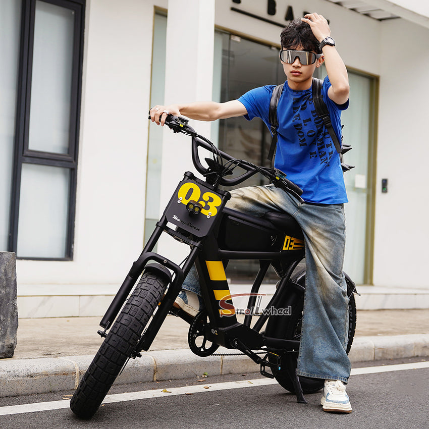 FT03 Electric Bike 750W 48V 18.2Ah Battery E-Bike Electric Bicycle 25KM/H
