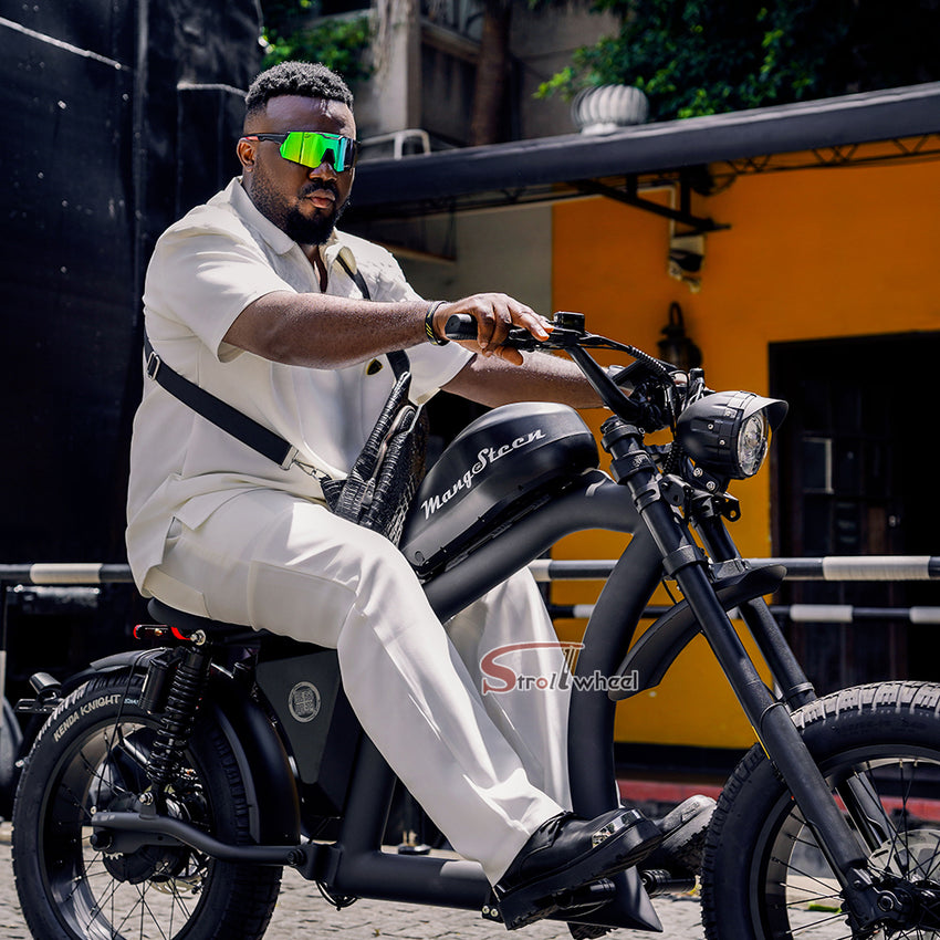 FT02 EEC Electric Bike 1000W 48V 22.5Ah Battery 45KM/H on COC Release Speed to 60KM/H