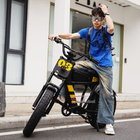 USA Warehouse FT-03 Electric Bike 750W 48V 18.2Ah Battery E-Bike Bicycle for City Commuting