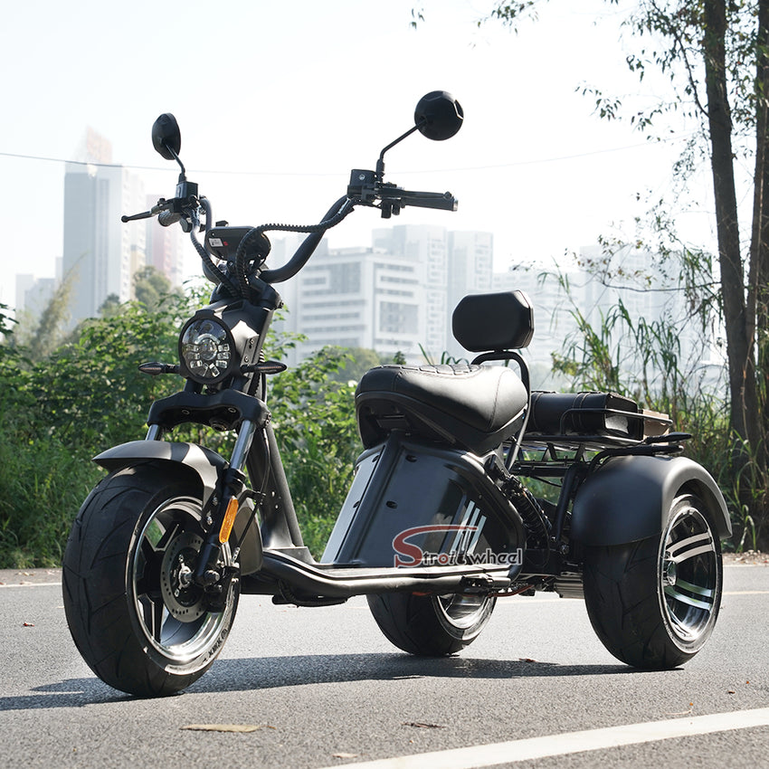 M2 Tricycle 60V 2000W 40Ah EEC COC Electric Chopper Scooter Citycoco