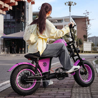 EU Warehouse FT-02 Mini City Electric Fat Tire E-bike 500W 48V 15Ah Lithium Battery Powered City Bike