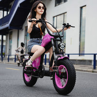 FT02 Mini Electric Bike 500W 48V 22.5AH Battery Speed 25km/h Release to 45km/h