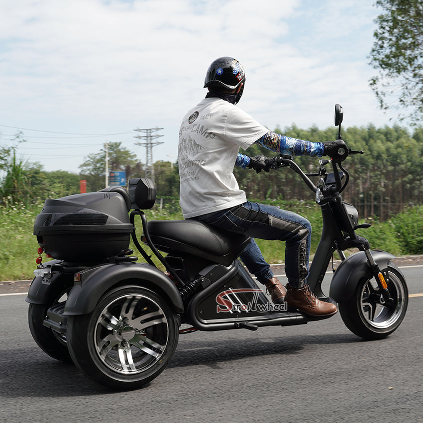 M2 Tricycle 60V 2000W 40Ah EEC COC Electric Chopper Scooter Citycoco
