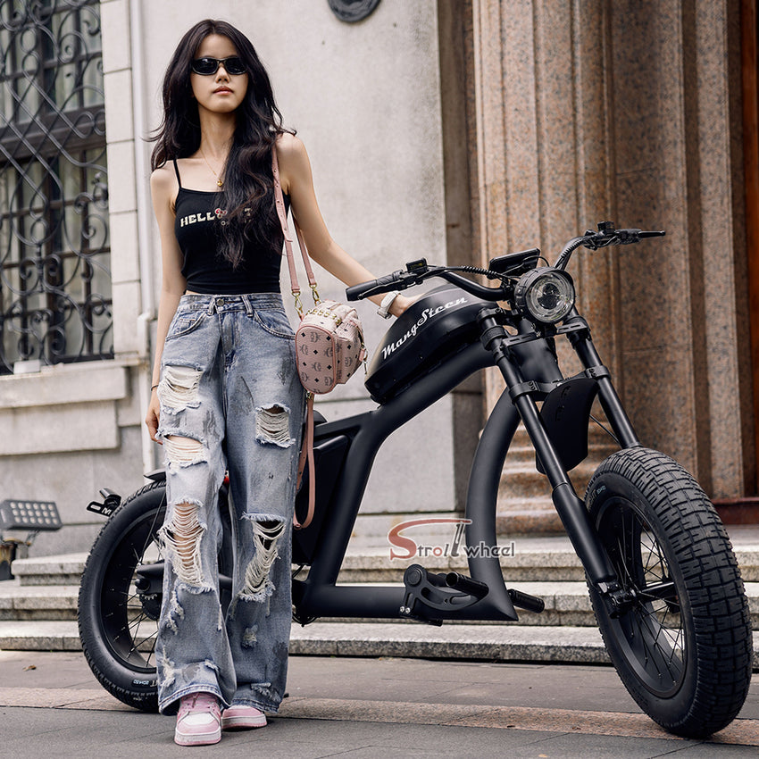 FT02 EEC Electric Bike 1000W 48V 22.5Ah Battery 45KM/H on COC Release Speed to 60KM/H