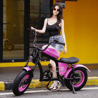 FT02 Mini Electric Bike 500W 48V 22.5AH Battery Speed 25km/h Release to 45km/h