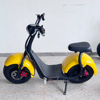 M1(Q1) Mini Electric Citycoco Scooter 1000W 60V12Ah/20Ah/25Ah Lithium Battery for Brazil Market