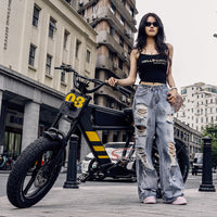 FT03 Electric Bike 750W 48V 18.2Ah Battery E-Bike Electric Bicycle 25KM/H