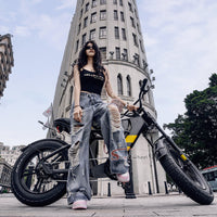 FT03 Electric Bike 750W 48V 18.2Ah Battery E-Bike Electric Bicycle 25KM/H