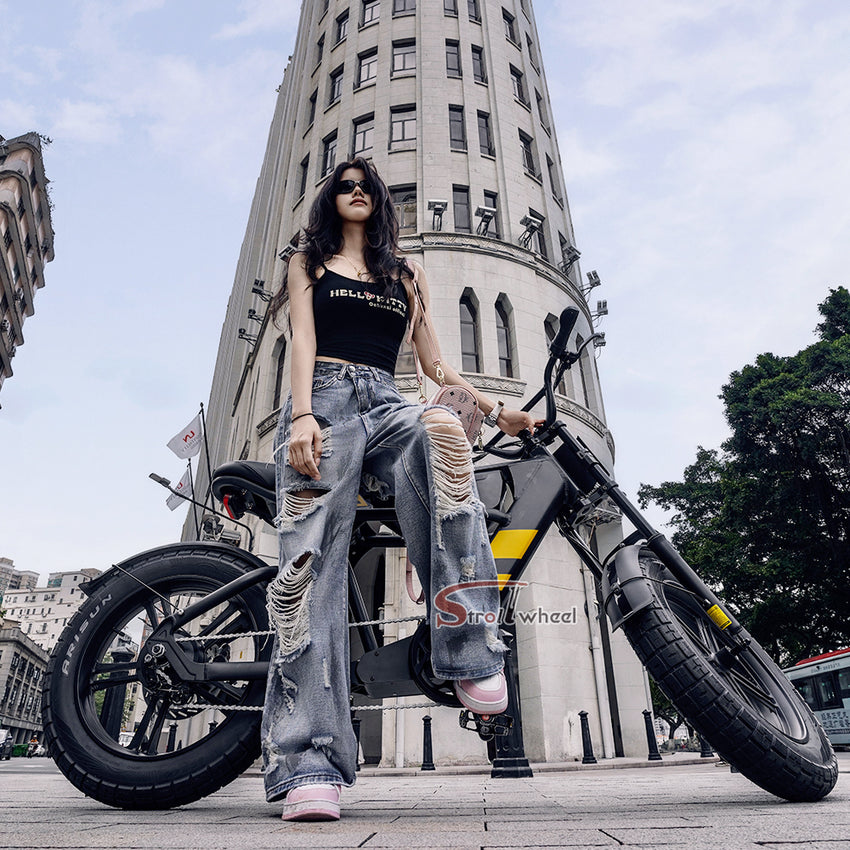 FT03 Electric Bike 750W 48V 18.2Ah Battery E-Bike Electric Bicycle 25KM/H