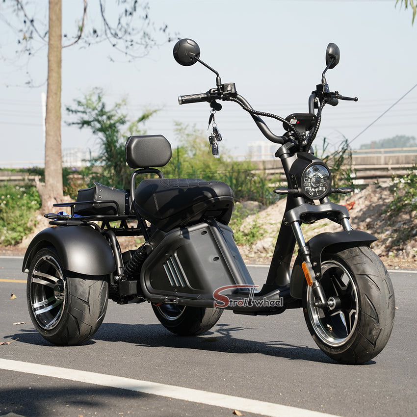 M2 Tricycle 60V 2000W 40Ah EEC COC Electric Chopper Scooter Citycoco