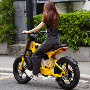 FT03 Electric Bike 750W 48V 18.2Ah Battery E-Bike Electric Bicycle 25KM/H