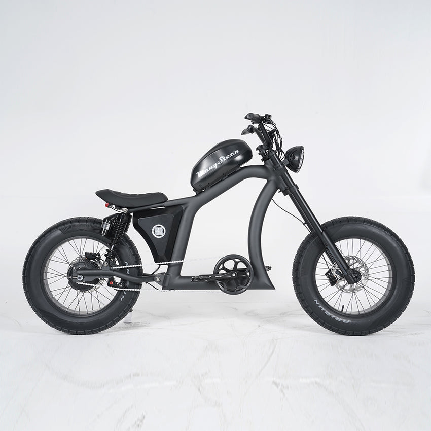 USA Warehouse FT-02 Electric Bicycle 1500W 48V 30Ah City Road Bike Fat Tire Ebike