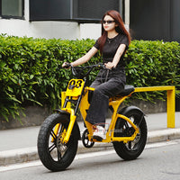 USA Warehouse FT-03 Electric Bike 750W 48V 18.2Ah Battery E-Bike Bicycle for City Commuting