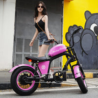 FT02 Mini Electric Bike 500W 48V 22.5AH Battery Speed 25km/h Release to 45km/h