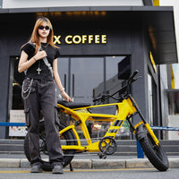 FT03 Electric Bike 750W 48V 18.2Ah Battery E-Bike Electric Bicycle 25KM/H