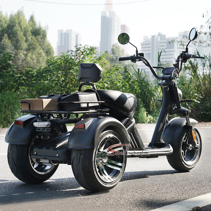 M2 Tricycle 60V 2000W 40Ah EEC COC Electric Chopper Scooter Citycoco