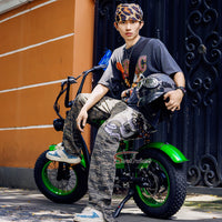 EU Warehouse FT-02 Mini City Electric Fat Tire E-bike 500W 48V 15Ah Lithium Battery Powered City Bike