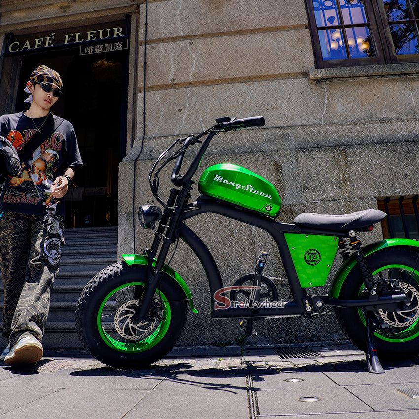 FT02 Mini Electric Bike 500W 48V 22.5AH Battery Speed 25km/h Release to 45km/h