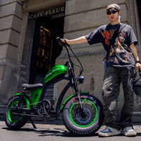 FT02 Mini Electric Bike 500W 48V 22.5AH Battery Speed 25km/h Release to 45km/h