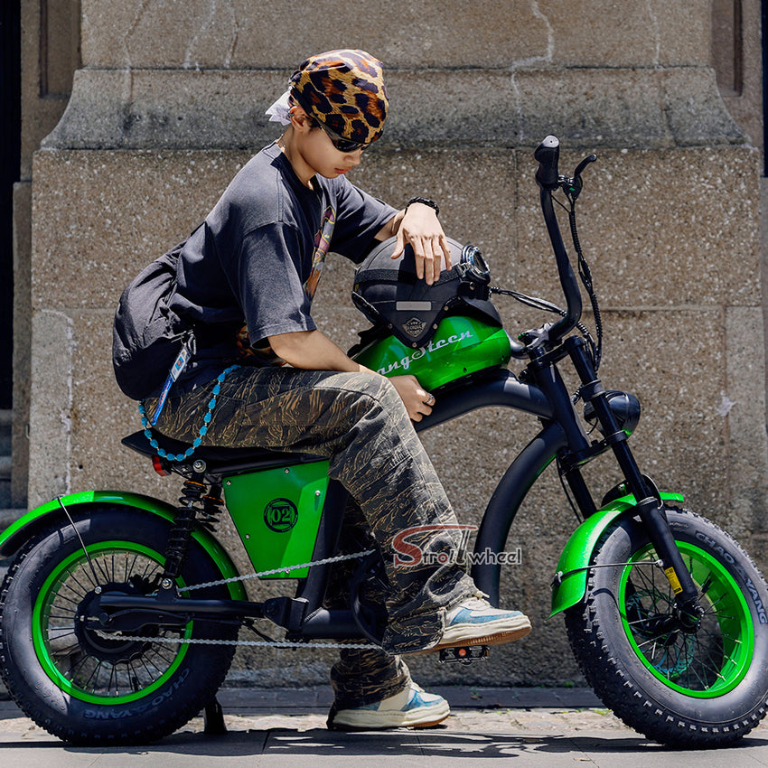 EU Warehouse FT-02 Mini City Electric Fat Tire E-bike 500W 48V 15Ah Lithium Battery Powered City Bike