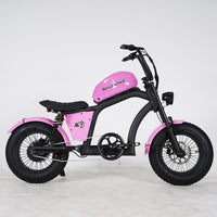 EU Warehouse FT-02 Mini City Electric Fat Tire E-bike 500W 48V 15Ah Lithium Battery Powered City Bike